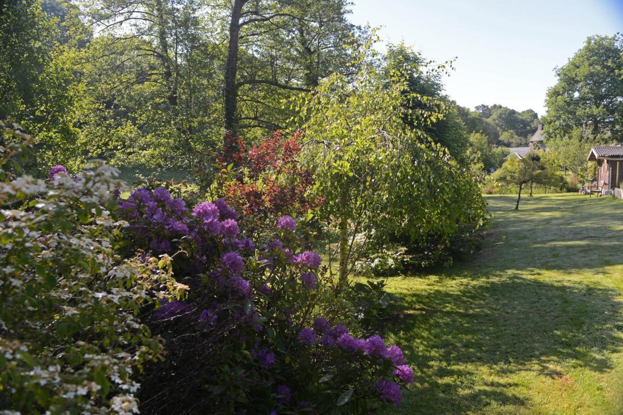 Le Domaine Du Pont Canon Plourivo Екстериор снимка